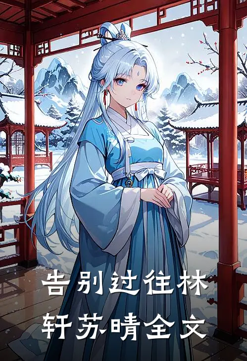 告别过往林轩苏晴全文
